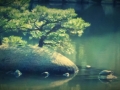 Hiroshima - Turtle Island