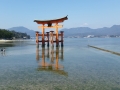 The great torii of Itsukishima shrine