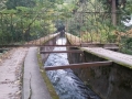 Kyoto - Philosophers path