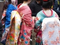 Kyoto - Maiko