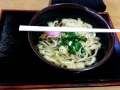 Shikoku - My first sanuki udon!